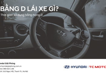 BANG d LAI XE GI 01